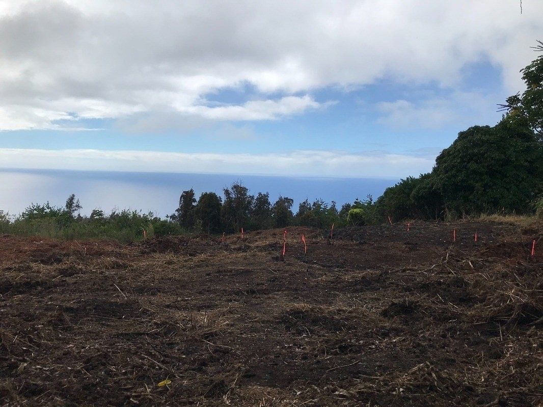 1 Acre of Residential Land Captain Cook, Hawaii, HI