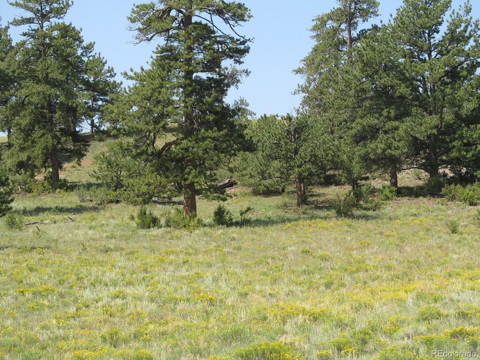 5.2 Acres of Residential Land Hartsel, Colorado, CO