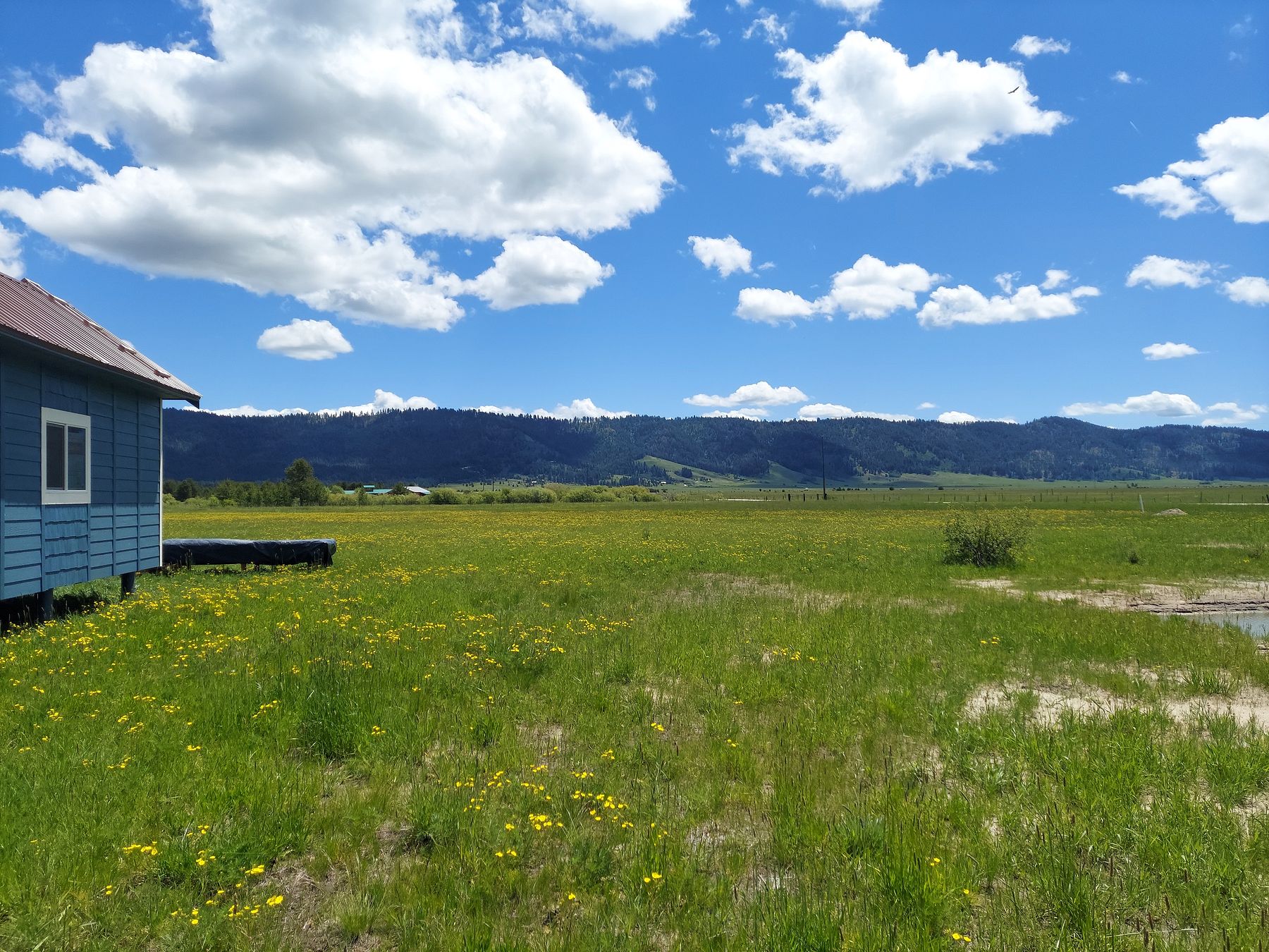 4.5 Acres of Recreational Land Cascade, Idaho, ID