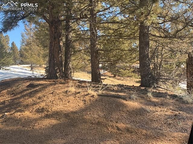 1.3 Acres of Residential Land Florissant, Colorado, CO