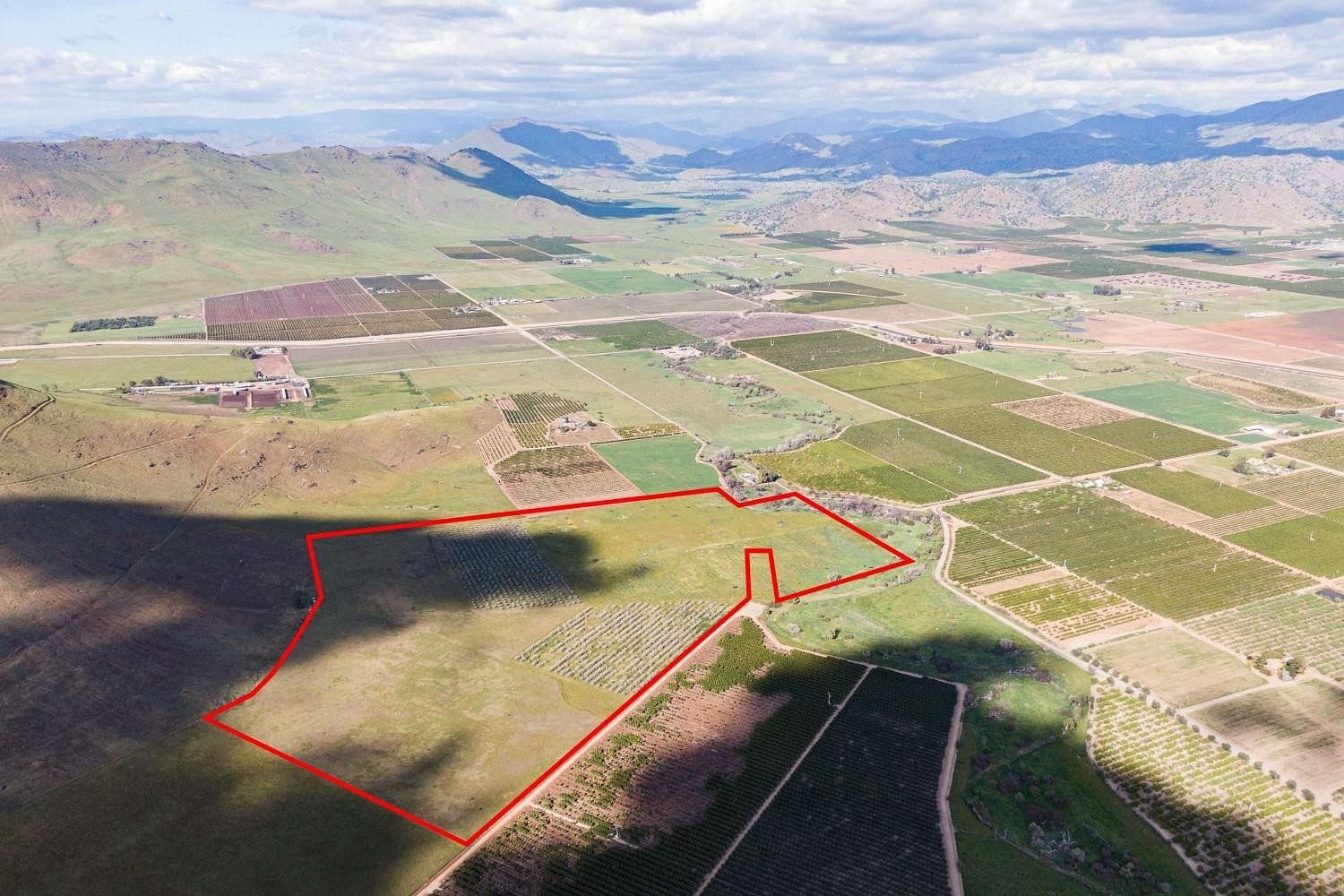 75.6 Acres of Agricultural Land Reedley, California, CA
