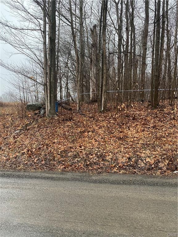 10 Acres of Residential Land Brookfield, New York, NY