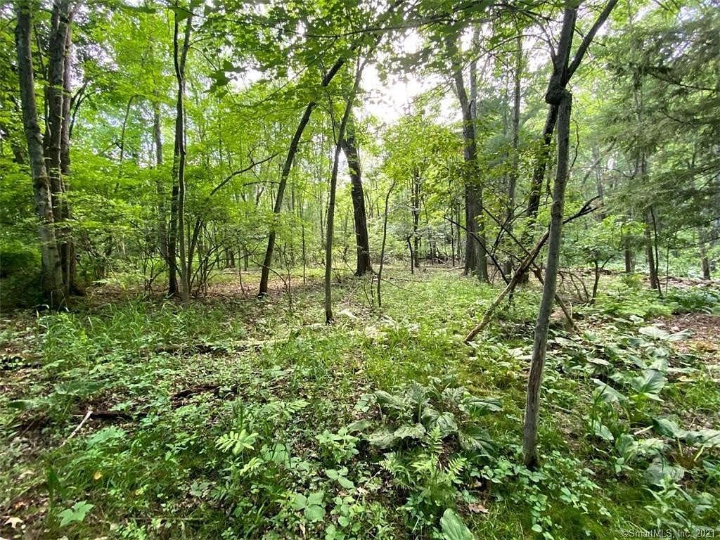 1 Acre of Residential Land Avon, Connecticut, CT