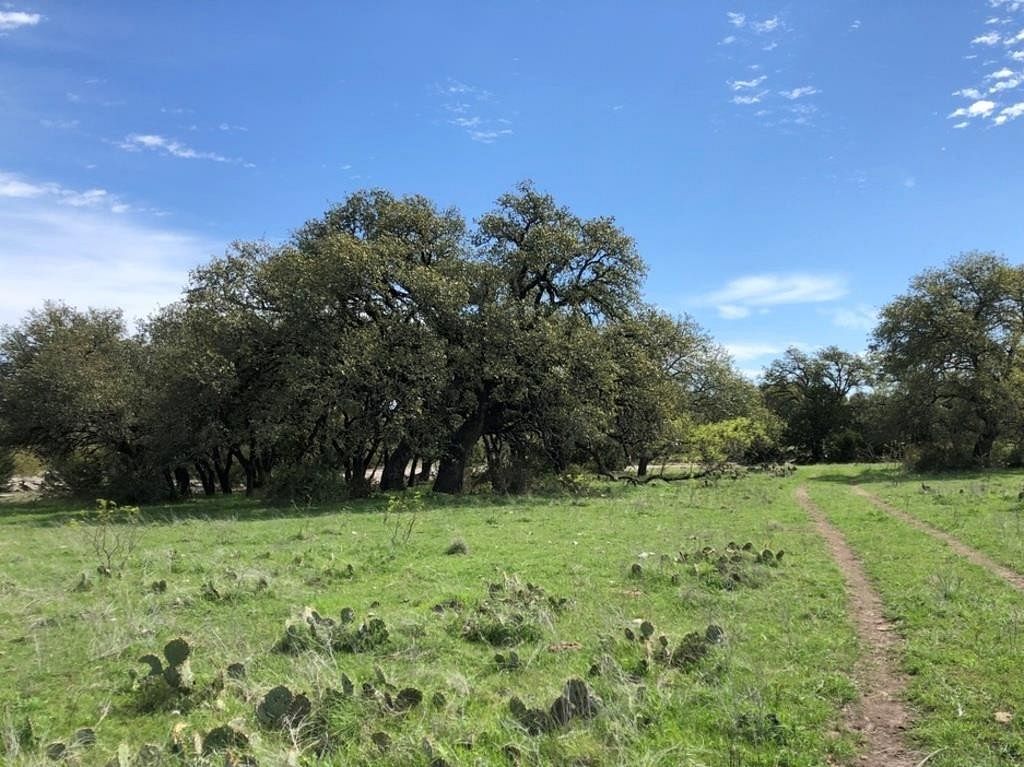 20.3 Acres of Recreational Land Menard, Texas, TX