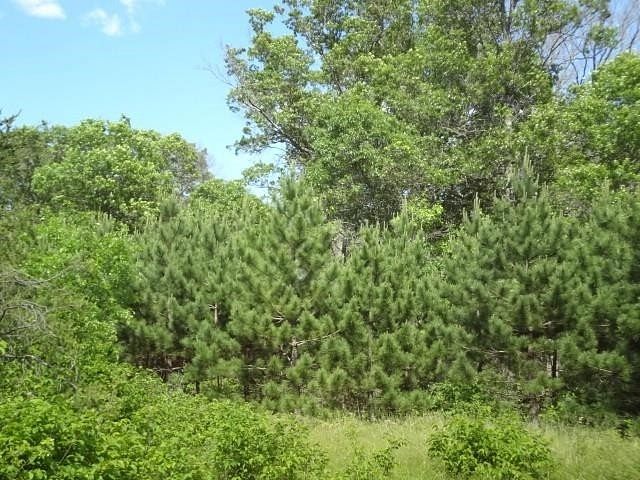 2.1 Acres of Residential Land Necedah, Wisconsin, WI