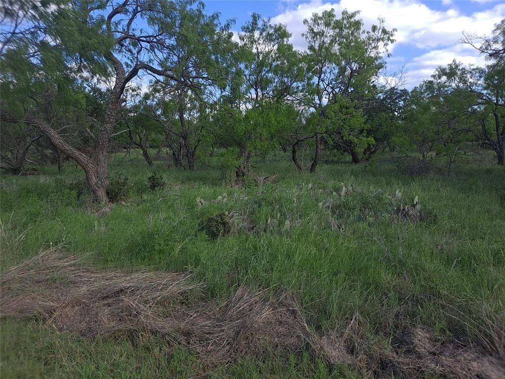 0.52 Acres of Land May, Texas, TX