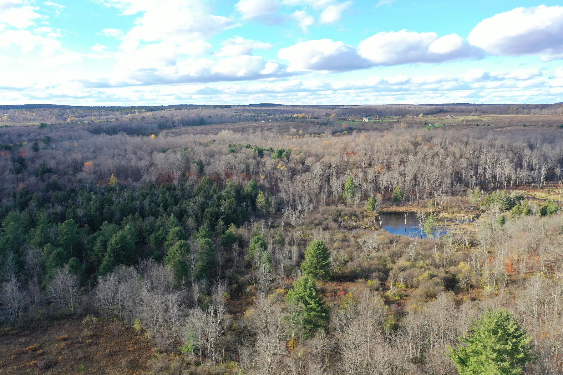 73.7 Acres of Recreational Land Plymouth, New York, NY