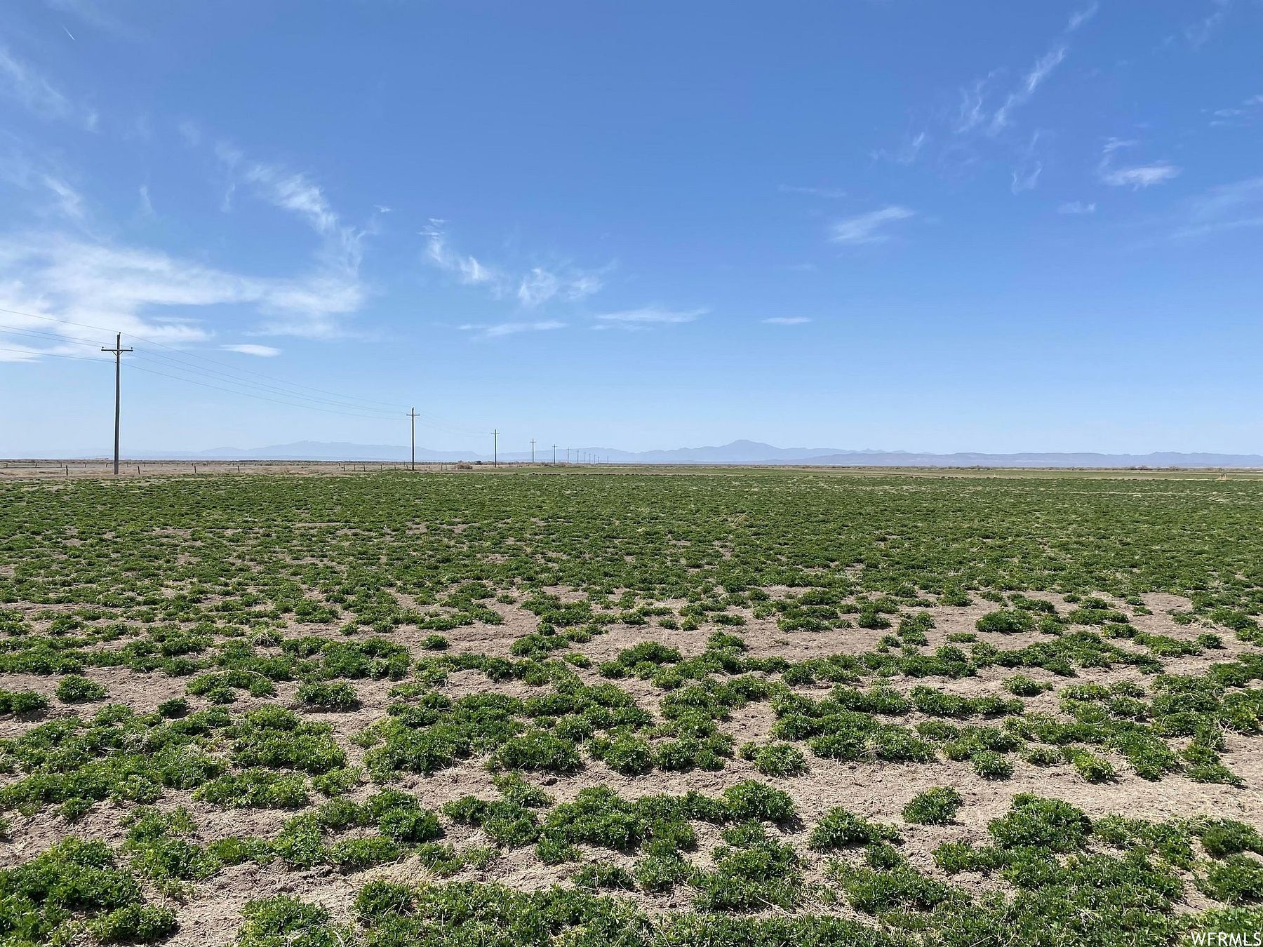 76.9 Acres of Agricultural Land Delta, Utah, UT
