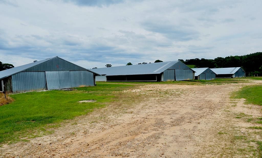 20 Acres of Improved Agricultural Land Walnut Grove, Mississippi, MS