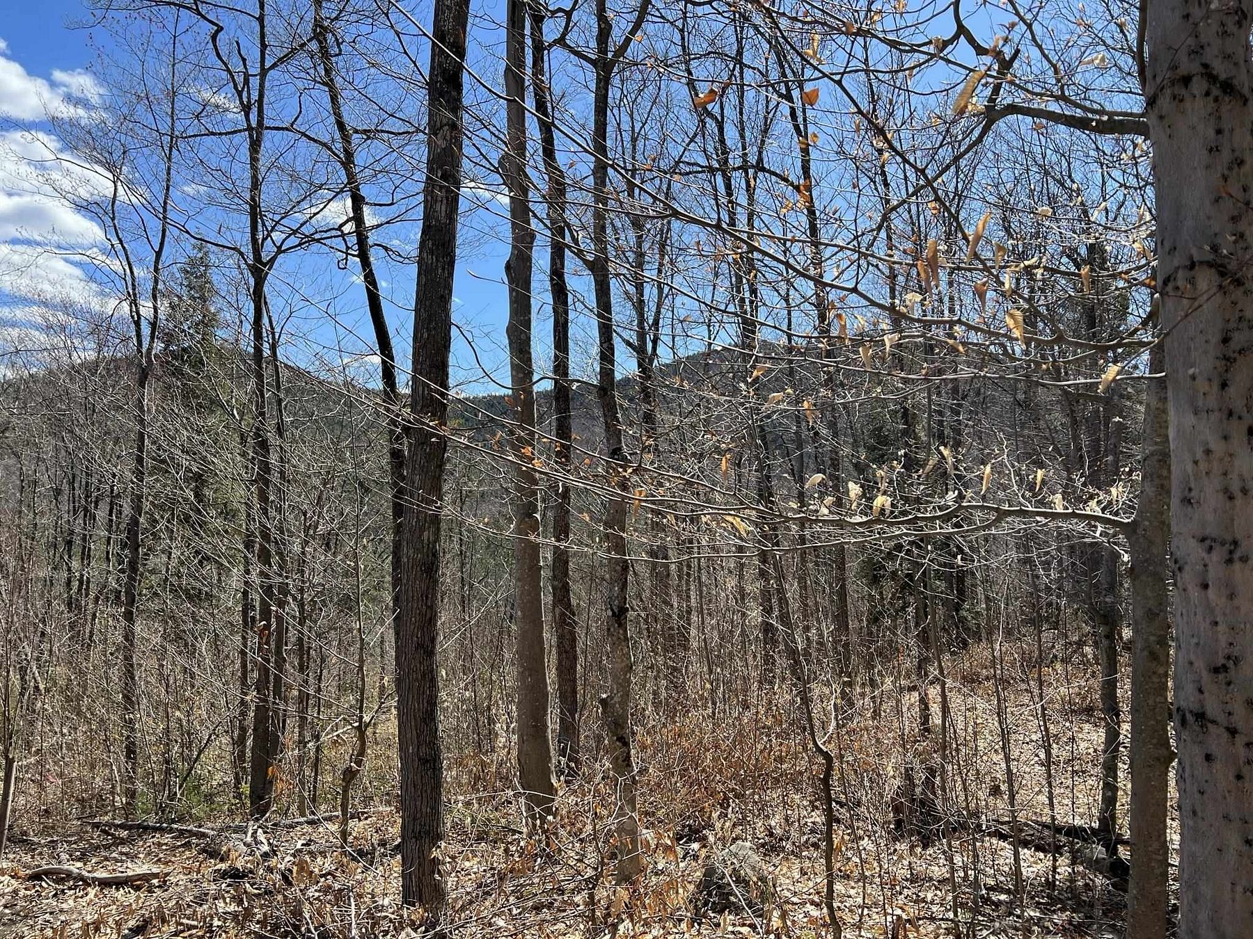 1.4 Acres of Residential Land Bartlett, New Hampshire, NH