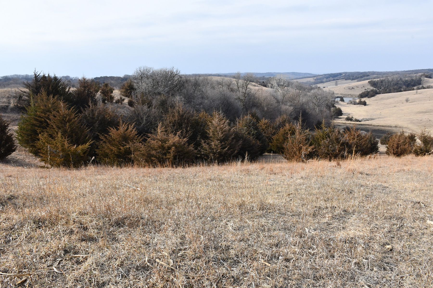 88 Acres of Recreational Land Newcastle, Nebraska, NE
