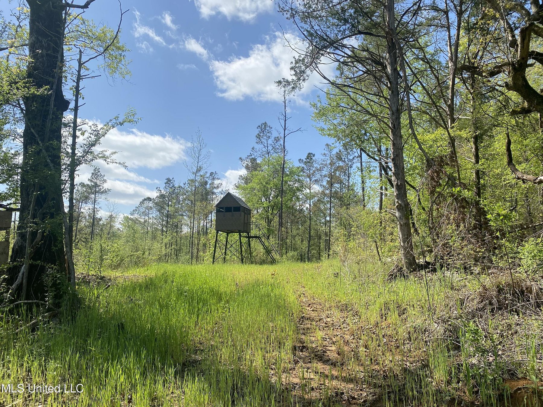 80.4 Acres of Recreational Land Vaiden, Mississippi, MS
