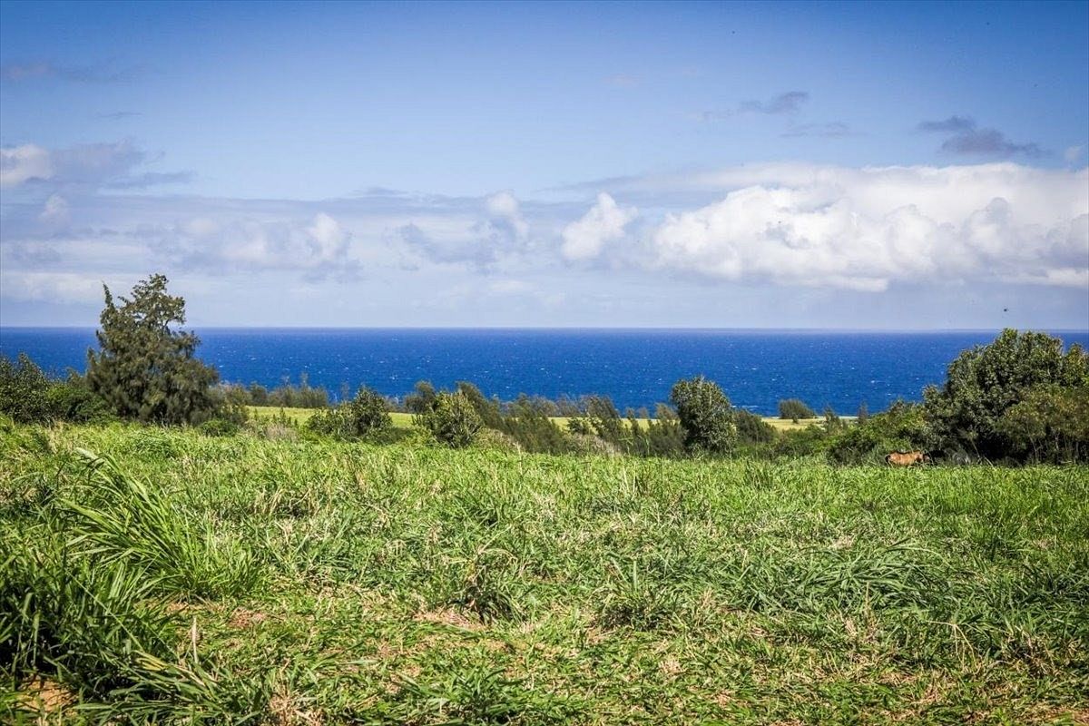 20.1 Acres of Land Hawi, Hawaii, HI