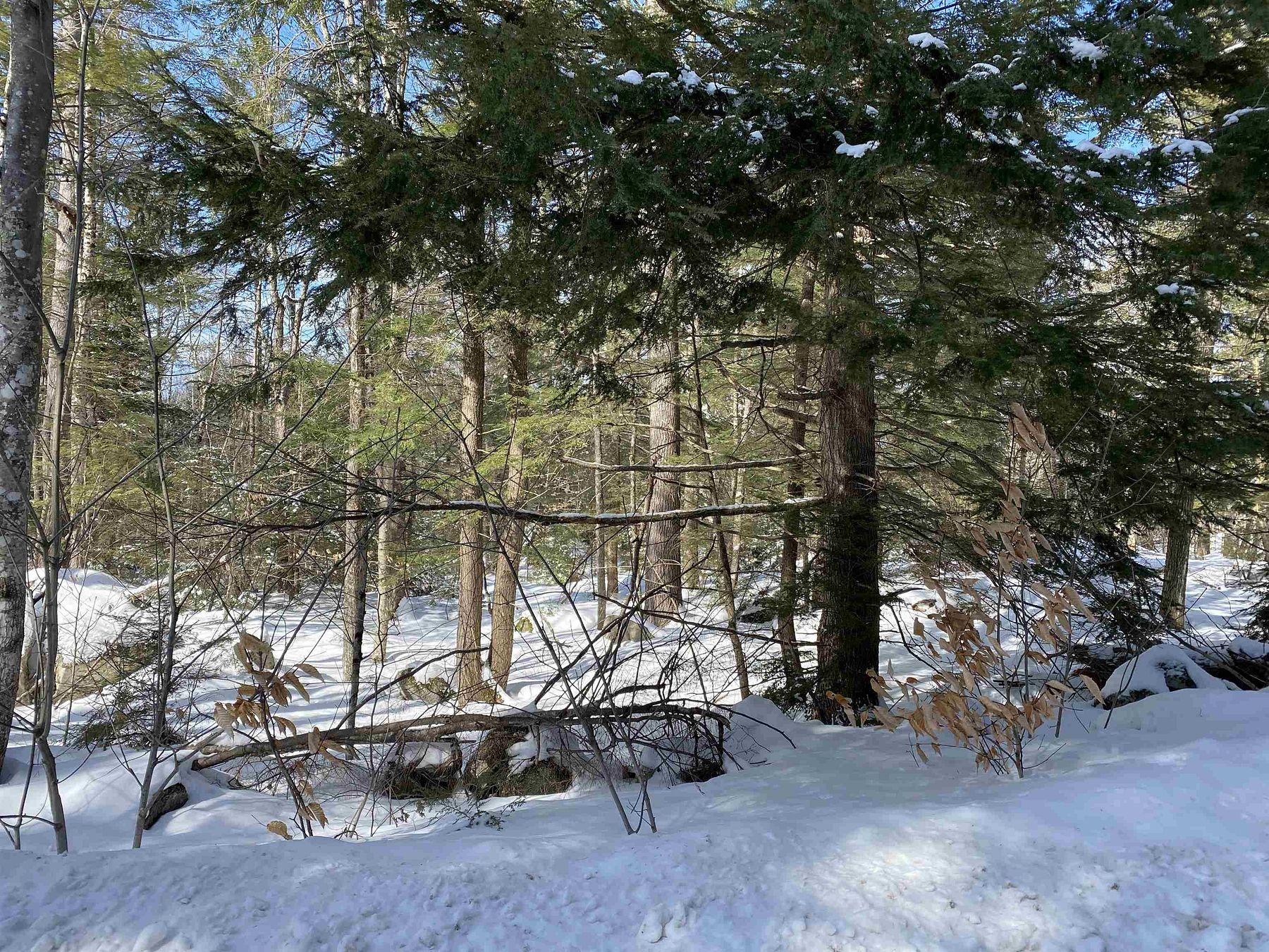 20 Acres of Land Ossipee, New Hampshire, NH