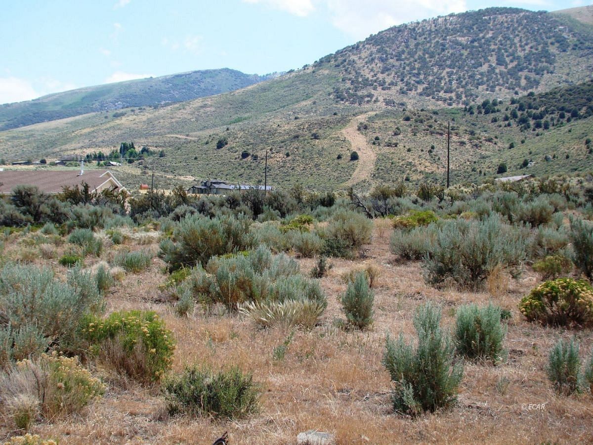 10 Acres of Land Lamoille, Nevada, NV