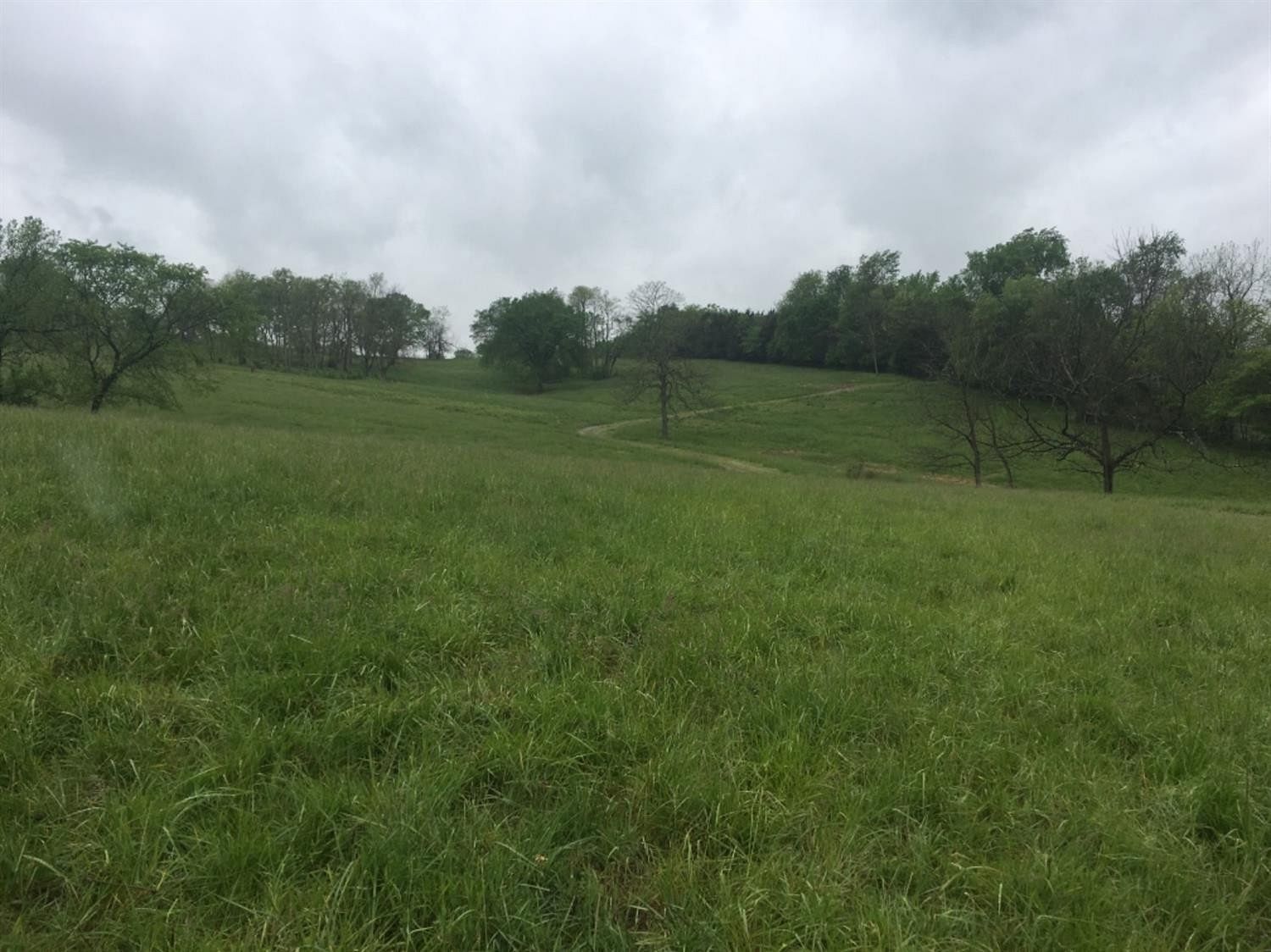 33.6 Acres of Agricultural Land Wilmore, Kentucky, KY