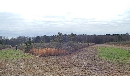 481 Acres of Improved Recreational Land & Farm West, Mississippi, MS
