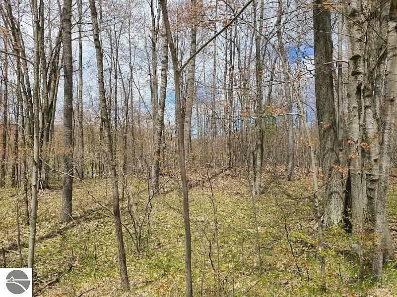0.9 Acres of Residential Land Reed City, Michigan, MI