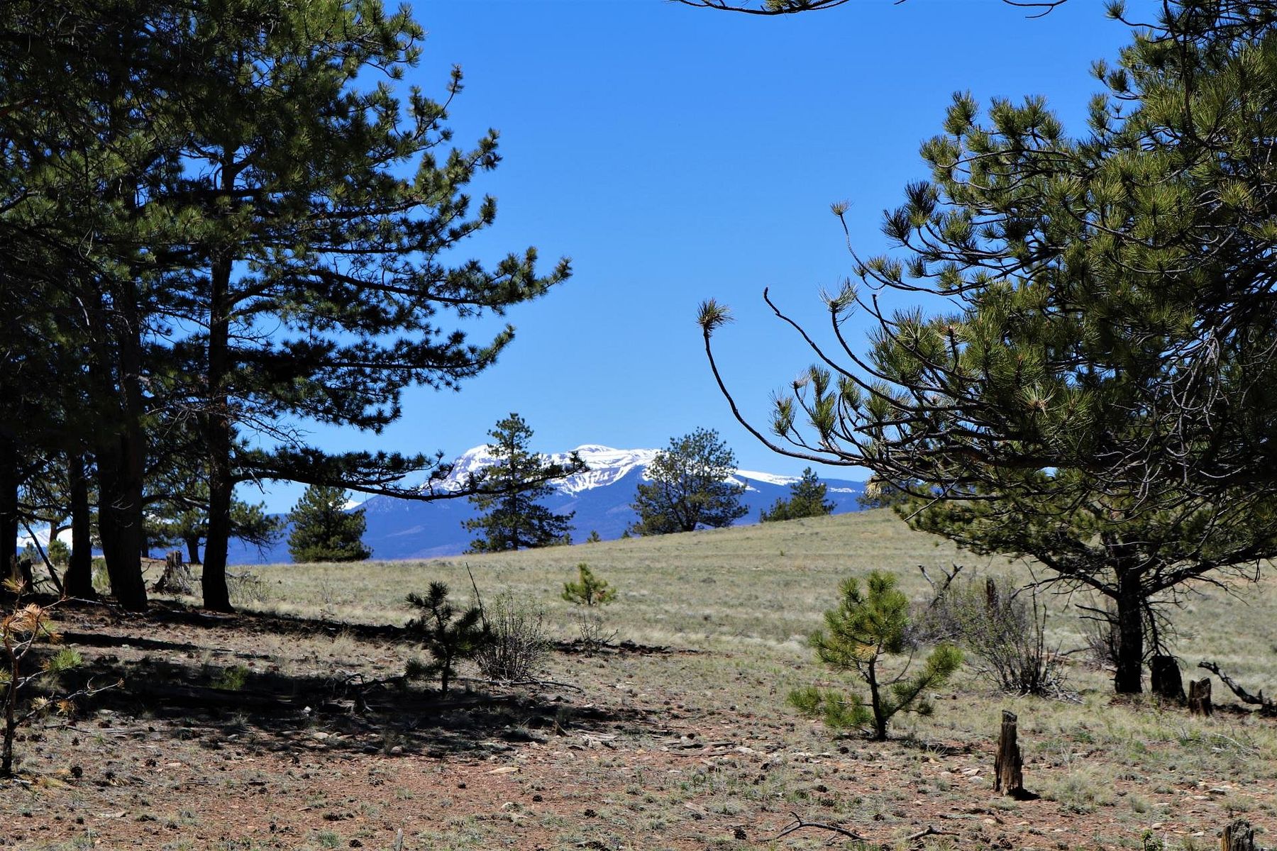330 Acres of Mixed-Use Land Hartsel, Colorado, CO