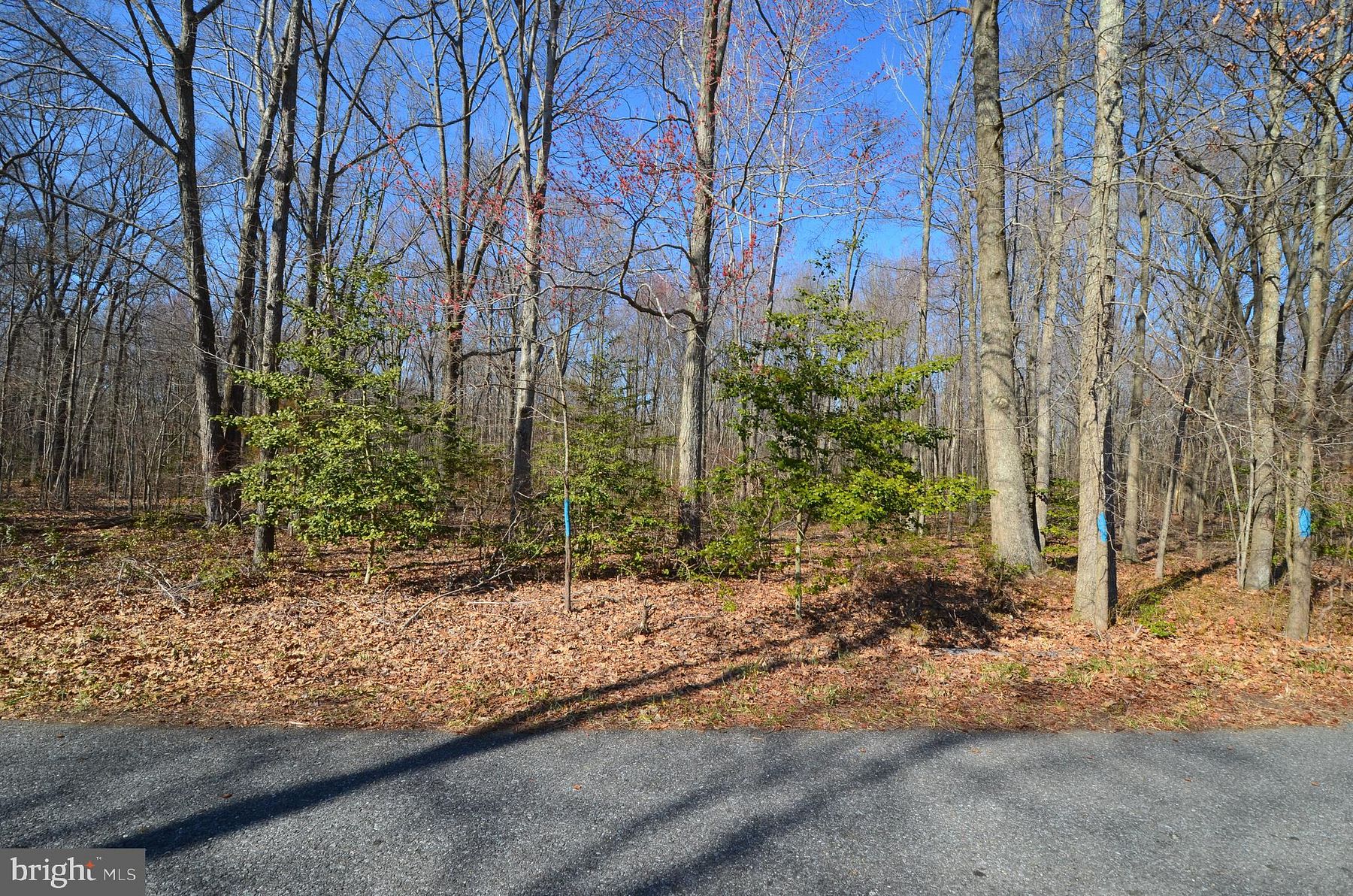 0.22 Acres of Residential Land Shady Side, Maryland, MD
