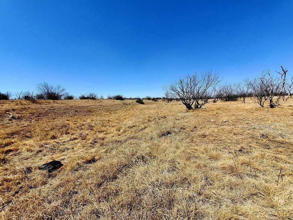 17.3 Acres of Land Menard, Texas, TX