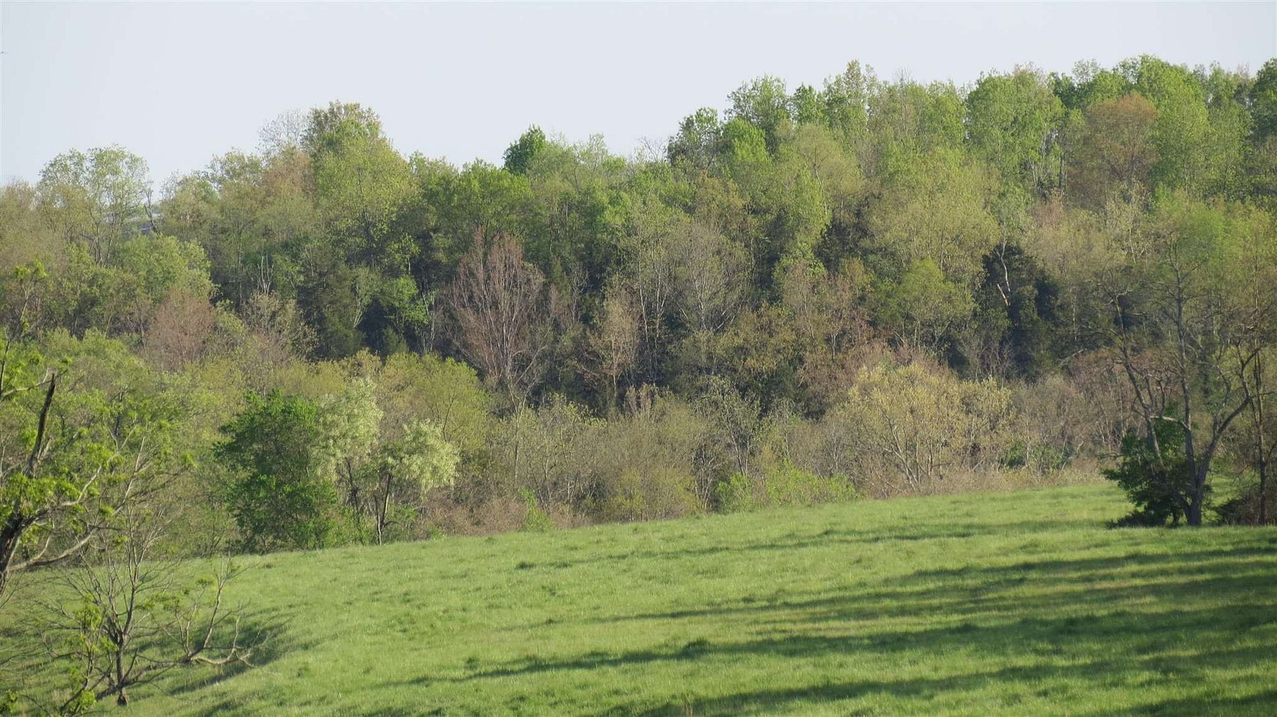 108 Acres of Recreational Land & Farm Owenton, Kentucky, KY
