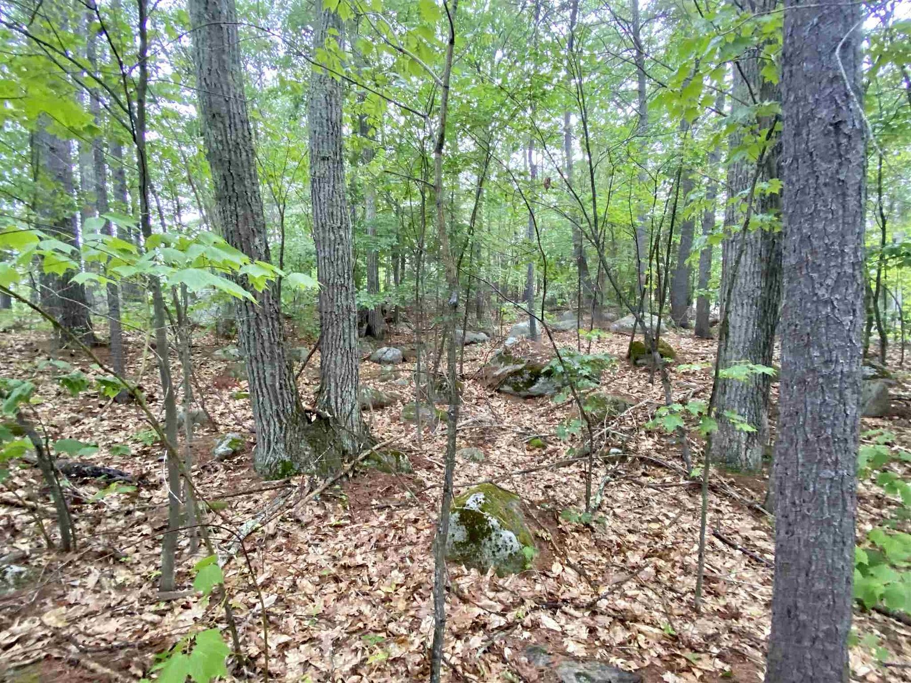 0.36 Acres of Land New Durham, New Hampshire, NH