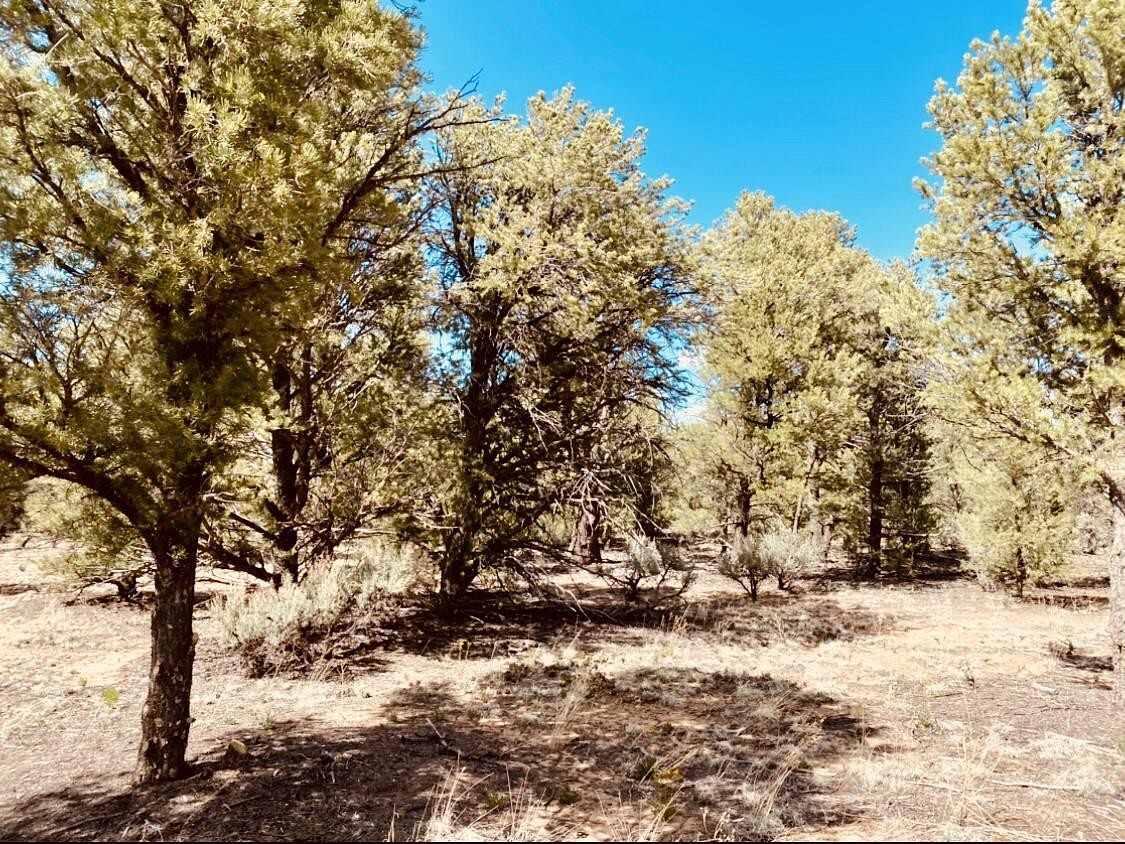 2.6 Acres of Residential Land Moriarty, New Mexico, NM