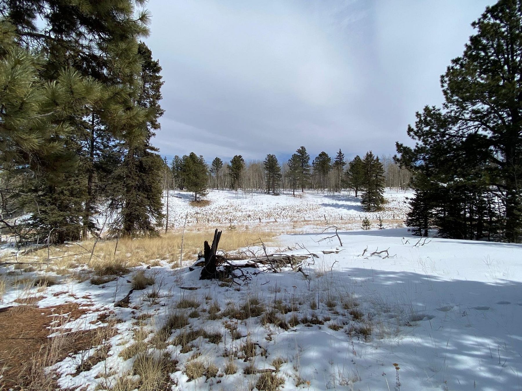 4.1 Acres of Mixed-Use Land Divide, Colorado, CO
