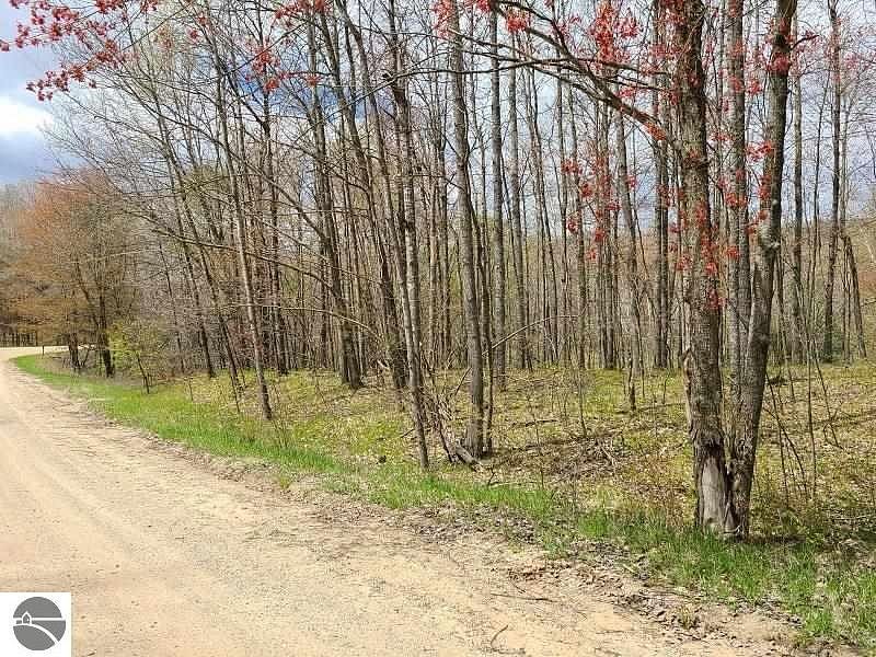 1.2 Acres of Residential Land Reed City, Michigan, MI