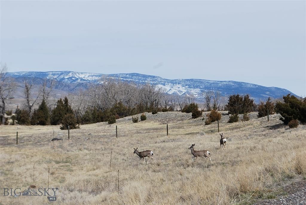 20 Acres of Land Pray, Montana, MT