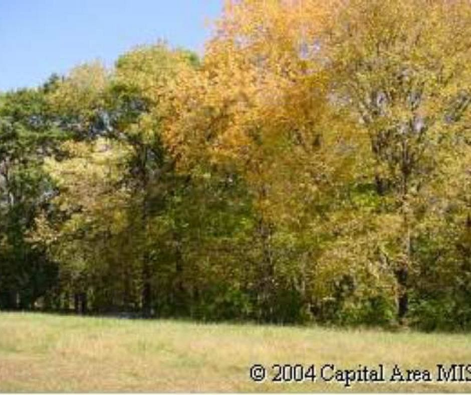 0.6 Acres of Residential Land Petersburg, Illinois, IL