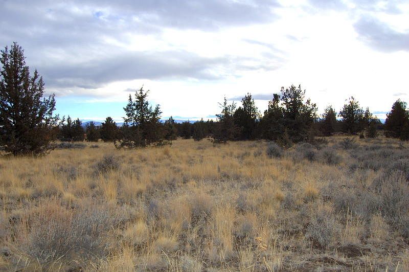 5 Acres of Residential Land Prineville, Oregon, OR