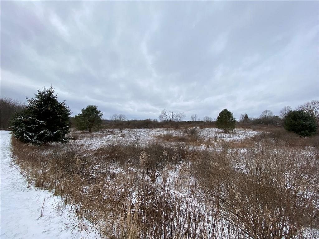 10 Acres of Residential Land Fabius, New York, NY