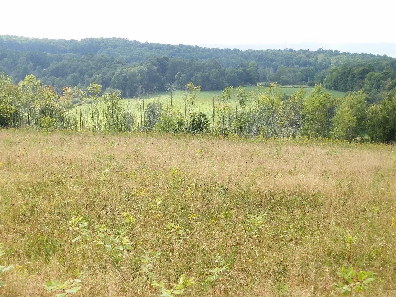 52.1 Acres of Improved Recreational Land & Farm Brookfield, New York, NY