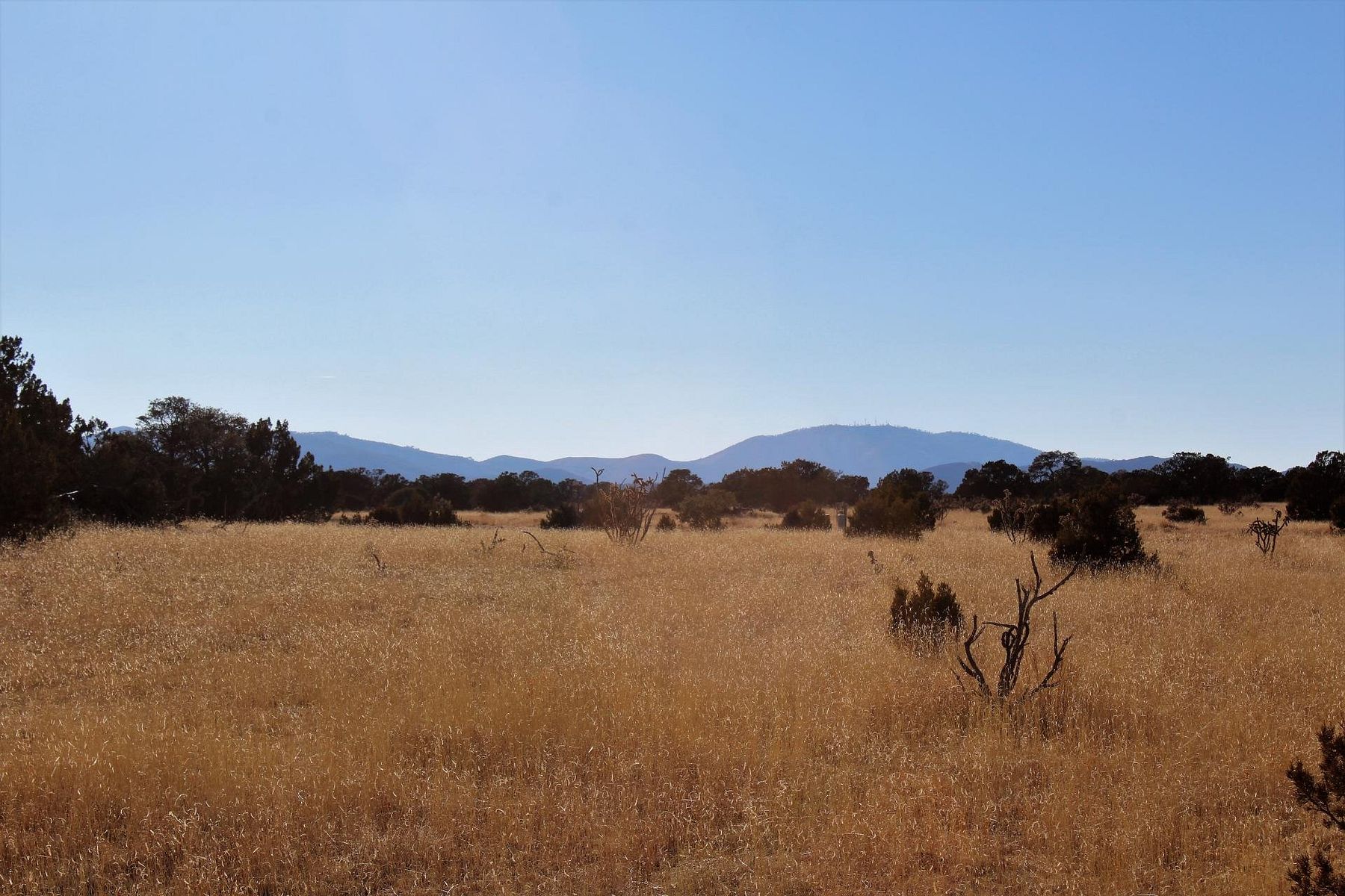 40.2 Acres of Recreational Land Corona, New Mexico, NM