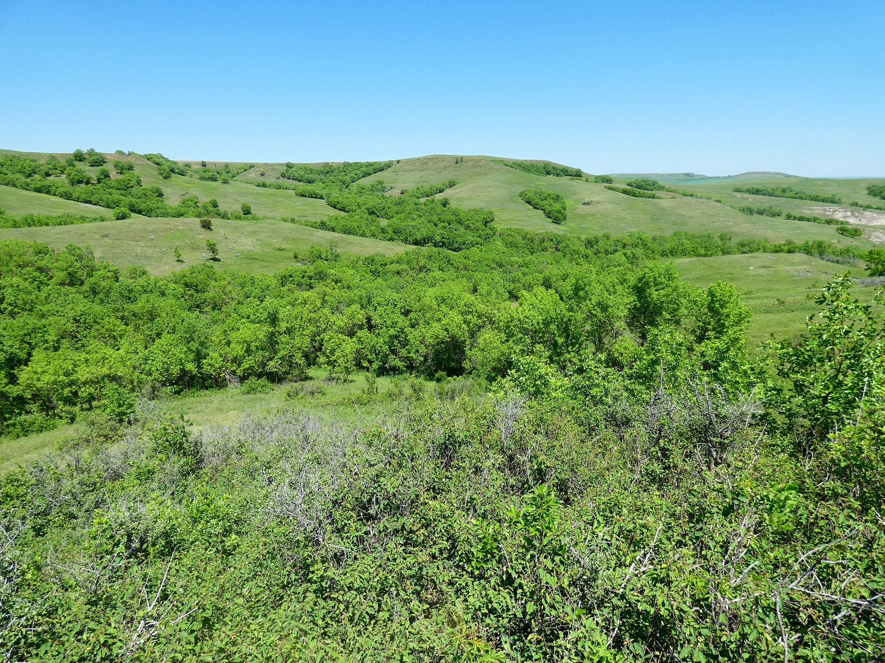 1,800 Acres of Recreational Land Solen, North Dakota, ND