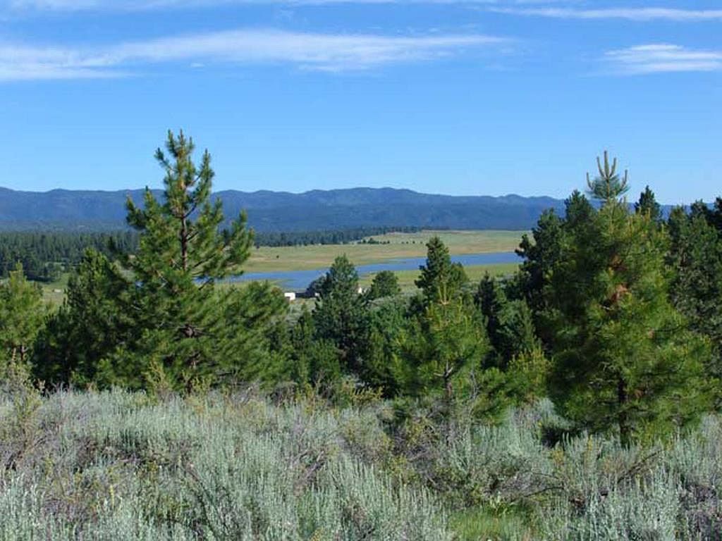 3.3 Acres of Land Cascade, Idaho, ID