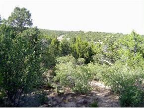 0.87 Acres of Residential Land Edgewood, New Mexico, NM