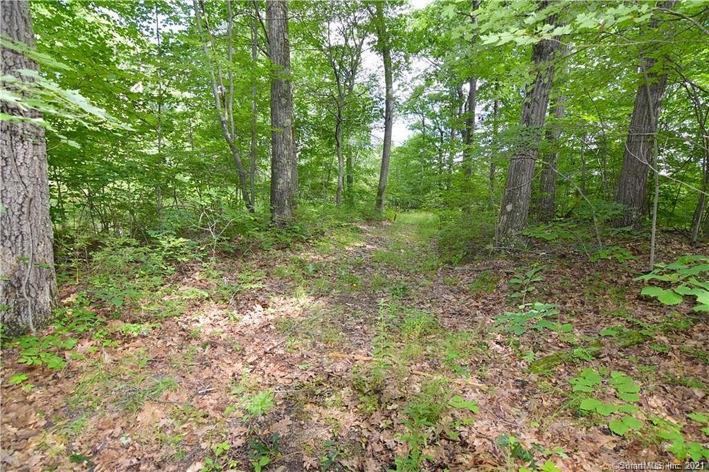 3.9 Acres of Residential Land Waterbury, Connecticut, CT
