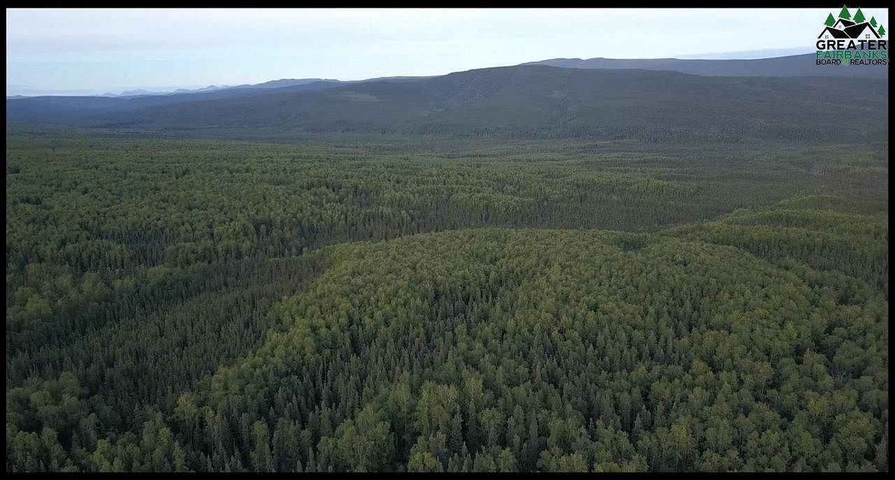 19.2 Acres of Recreational Land Fairbanks, Alaska, AK