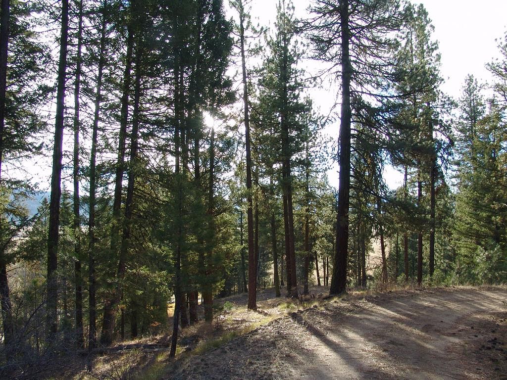 4.3 Acres of Land Cascade, Idaho, ID