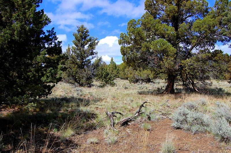 10 Acres of Recreational Land Bend, Oregon, OR