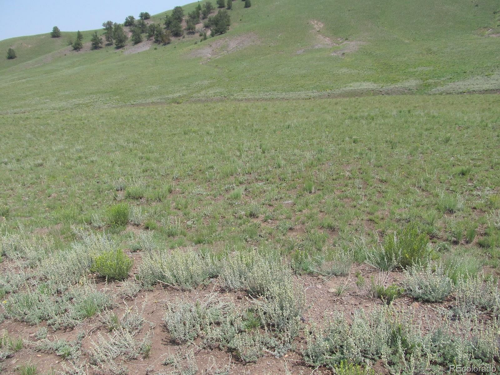 4.6 Acres of Land Hartsel, Colorado, CO