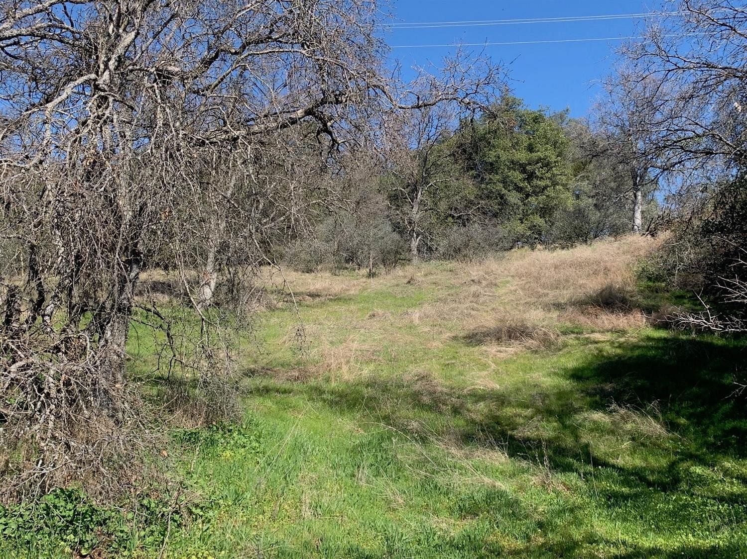 4.5 Acres of Residential Land Auberry, California, CA