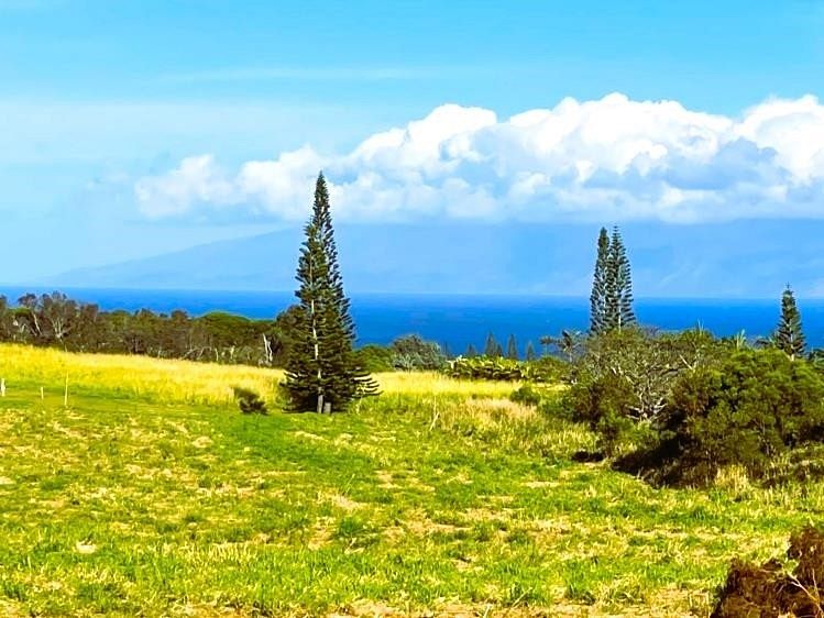 4.3 Acres of Land Lahaina, Hawaii, HI