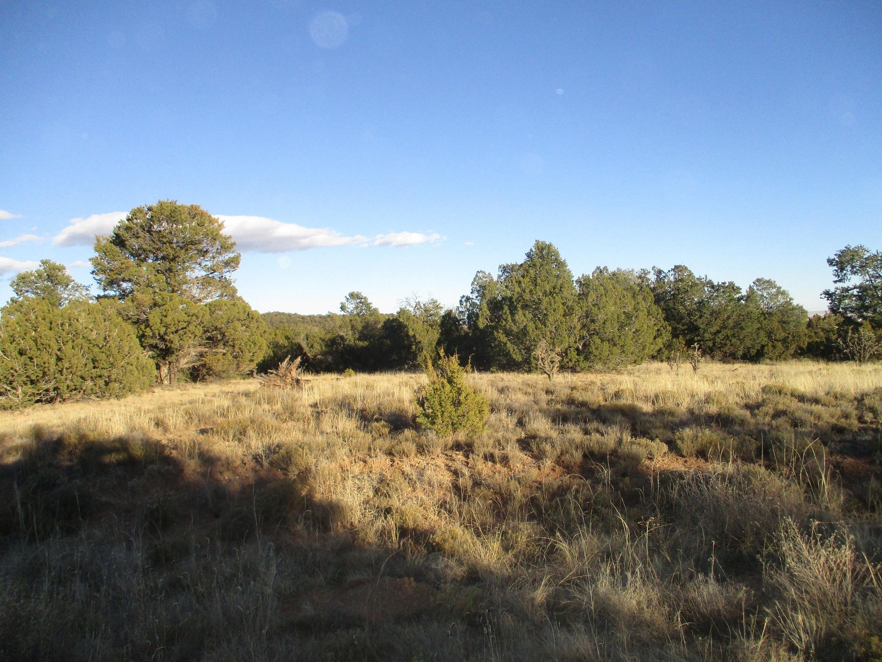 1.9 Acres of Land Edgewood, New Mexico, NM