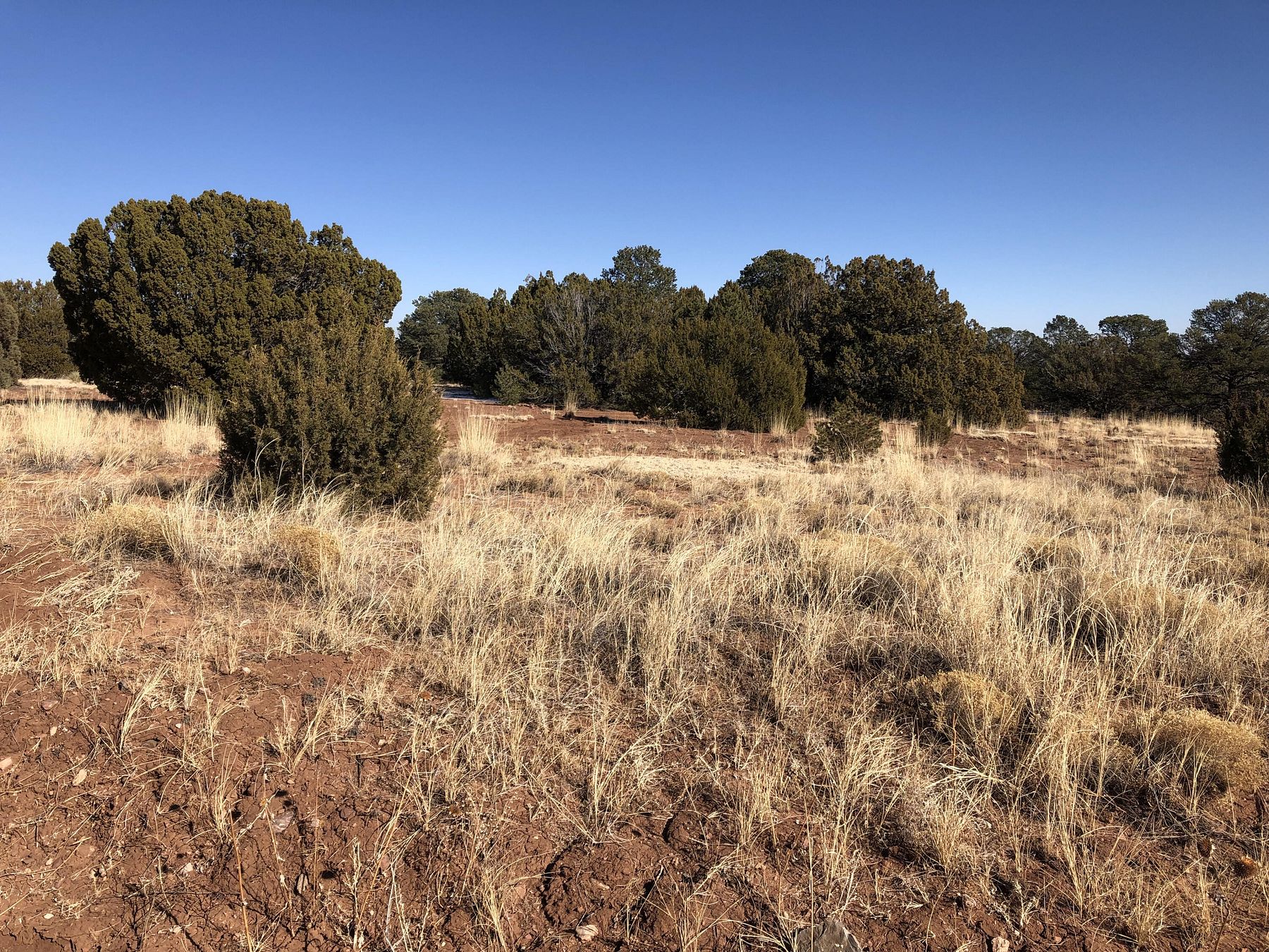 104 Acres of Land Manzano, New Mexico, NM