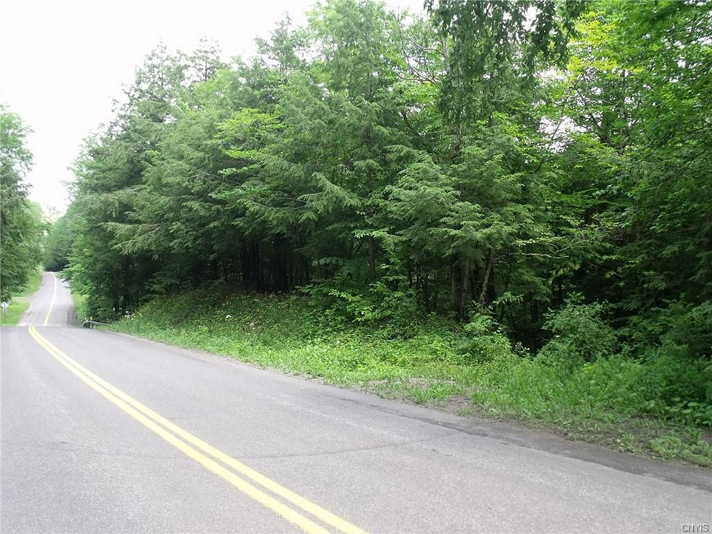 25.7 Acres of Land Schuyler Town, New York, NY