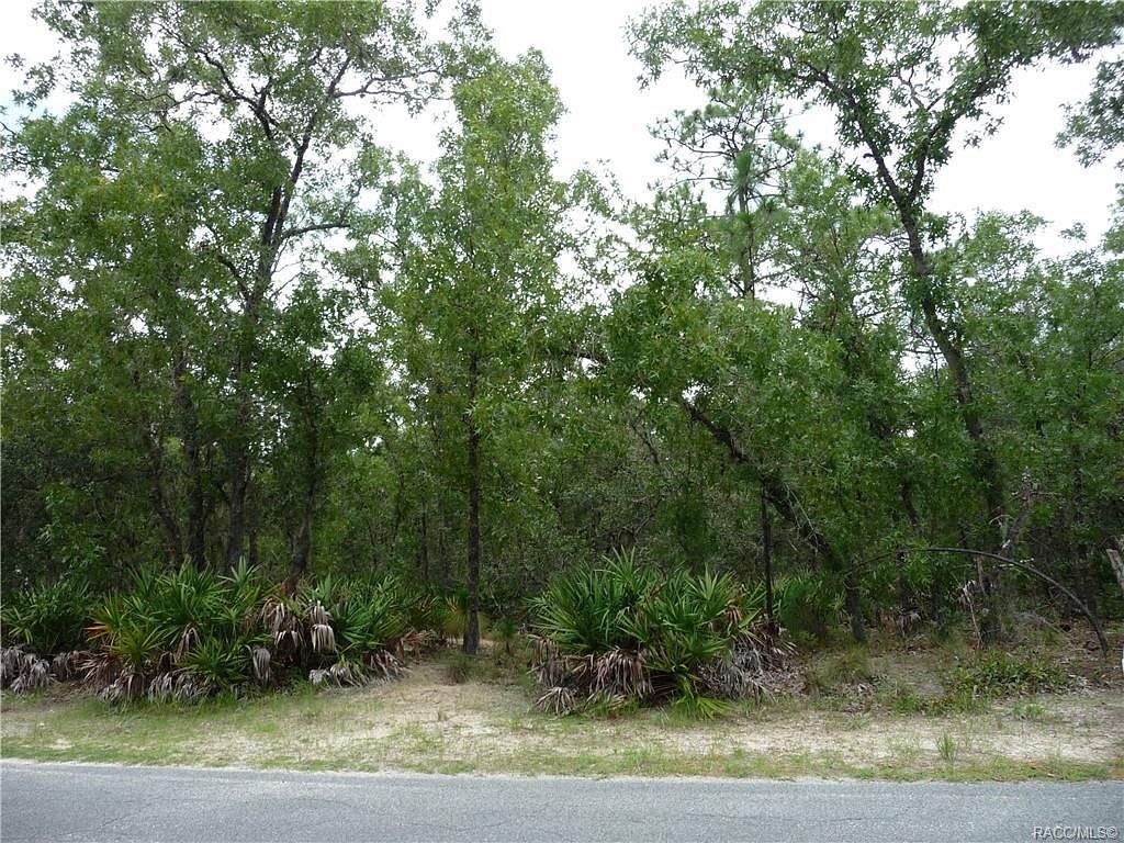 0.31 Acres of Residential Land Homosassa, Florida, FL